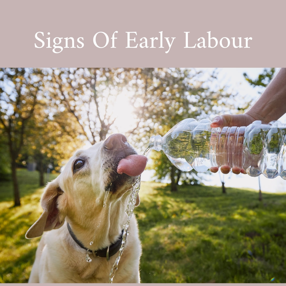What to Expect in Early Labour: A Guide for New Mums
