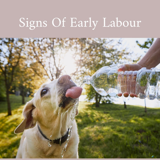 What to Expect in Early Labour: A Guide for New Mums